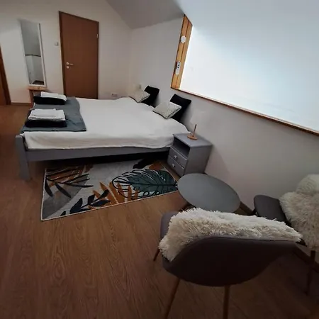 Rozsa Apartment