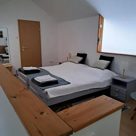 Apartment Rozsa *